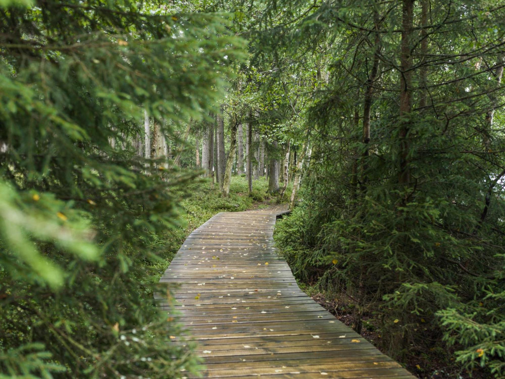 Falkensteiner Spa Resort Маріанські Лазні Екстер'єр фото The boardwalk at the end of the trail